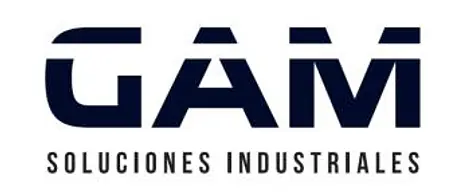 Servicios GAM
